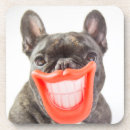 Search for french bulldog coasters Adorable