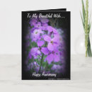 Search for husband and wife photography Anniversary