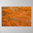 Search for autumn background posters Beautiful