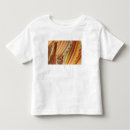 Search for starch America