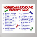 Search for norwegian elkhound Cute