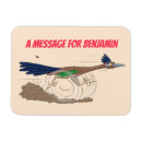 Search for desert bird magnets Roadrunner