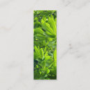 Search for bookmarks photography Nature