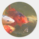 Search for koi stickers Nature