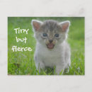 Search for tiny postcards Funny