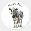 Search for black and white cows stickers Cute