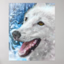 Search for arctic wolf posters Wolves