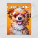 Search for cute animal thinking of you cards Funny