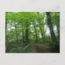 Search for forest path postcards Woodland