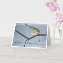Search for chickadee christmas cards Snow
