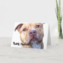 Search for pitbull thank you cards Animal