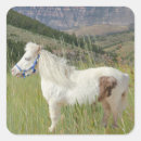 Search for miniature horse stickers Cute