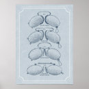 Search for optician posters Glasses