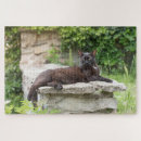 Search for cat puzzles Adult