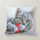 Search for grey tabby cat cushions Kitty