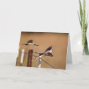 Search for larry ditto cards Bird