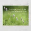 Search for aromatherapy postcards Spa