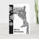 Search for giraffe christmas cards Nature