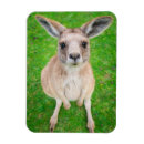 Search for getty magnets Animals