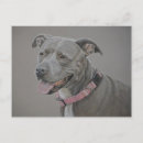 Search for pit postcards Canine