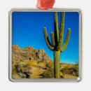 Search for desert christmas tree decorations Arizona