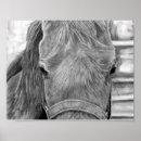 Search for graphite posters Portrait