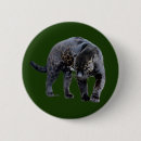 Search for black panthers badges Jaguar