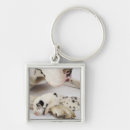 Search for great dane puppy key rings Nature