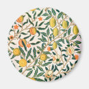 Search for fruit magnets William morris