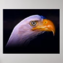Search for american eagle posters Birds