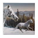 Search for appaloosa horse home decor Mountain