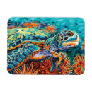 Search for sealife magnets Teal