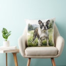 Search for boston terrier cushions Cute