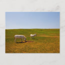 Search for grassland postcards Park