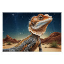 Search for no frills posters Frill necked lizard