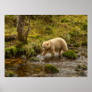 Search for black and white bear posters Hunting
