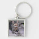 Search for brown cat key rings Kitty