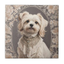 Search for maltese tiles Vintage