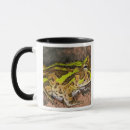 Search for vertebrate mugs David northcott