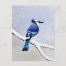 Search for blue jays invitations Watercolor