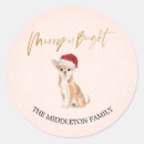 Search for chihuahua dog stickers Cute