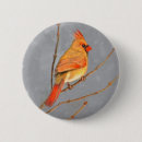 Search for cardinal bird badges Snow