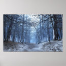 Search for grey wolves posters Forest