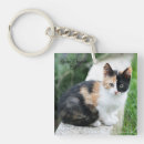 Search for phantom key rings Funny