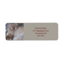 Search for brown animal return address labels Cat