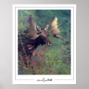 Search for albert bierstadt posters Luminism
