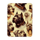 Search for mastiffs magnets Pets