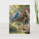 Search for bluebird cards Birds