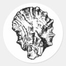 Search for oyster shell stickers Seashell