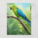 Search for blue parakeet postcards Animal
